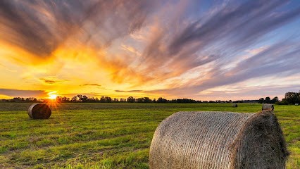 GAEC LA VIE BIO, Ferme Bio à Saint-Urcisse