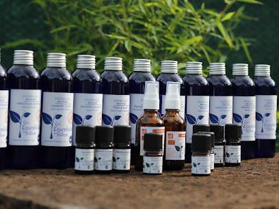 Les Essentielles Du Sillon - Huiles Essentielles Bio et Paysannes, Ferme Bio à Campbon