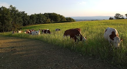 La Ferme de Chamaron, Ferme Bio à Néronde