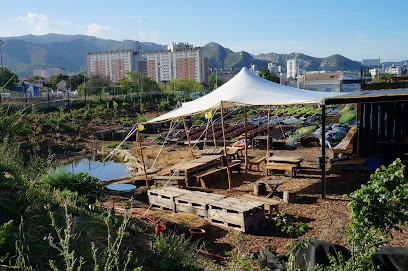 Le Talus, Ferme Bio à Marseille 12