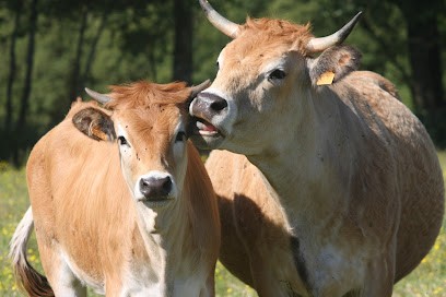 Ferme Le Petit Moineau, Ferme Bio à Falleron