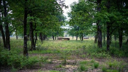 Ferme de Laruscade - Productrice de Poulets de Chair et Oeufs Bio, Ferme Bio à Laruscade