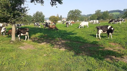 L ETABLE GLACEE, Ferme Bio à Souzy