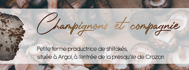 Champignons et compagnie, Ferme Bio à Argol