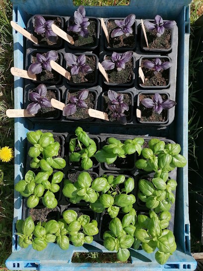 Pépinière Aluna, Ferme Bio à Renac