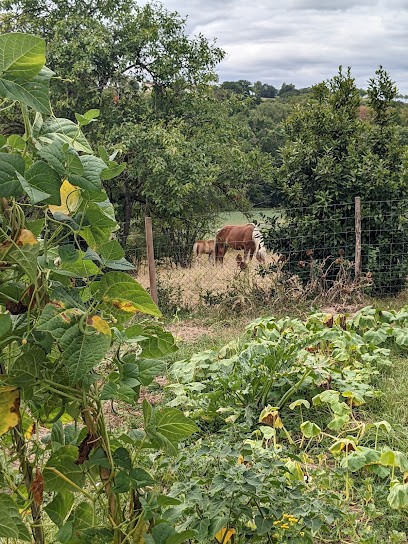 Les Jardins D'Eliza, Ferme Bio à Cassagnabère-Tournas