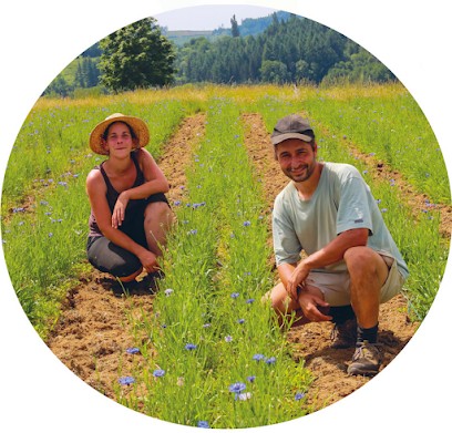 Les Sens en Herbe, Ferme Bio à Viscomtat