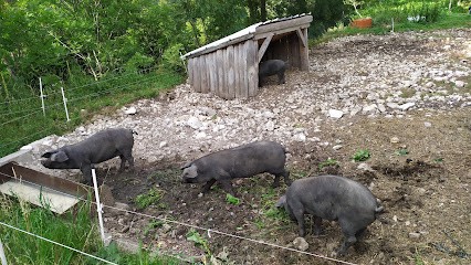 Ferme De La Jarjatte, Ferme Bio à Lus-la-Croix-Haute