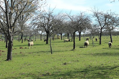 Cidrerie Distillerie - Les Vergers De La Ferme, Ferme Bio à Bain-de-Bretagne