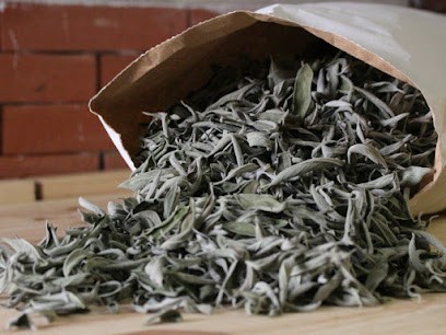 Petites feuilles - William Anstett & Claire Grolleau, Ferme Bio à Termes