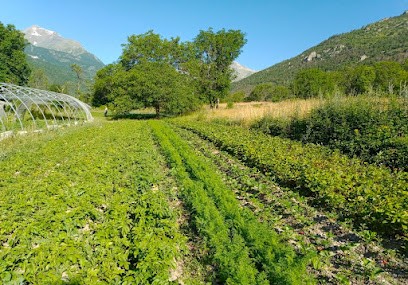Les Jardins de Florette, Ferme Bio aux Vigneaux