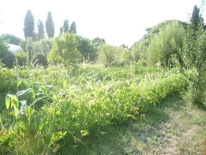 Le Jardin De La Libarda, Ferme Bio à Ouveillan