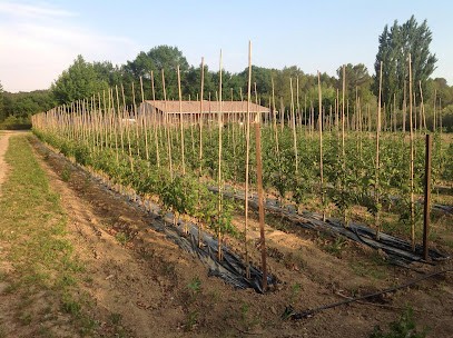 Les jardins de la Lequette, Ferme Bio à Saint-Bauzille-de-Montmel