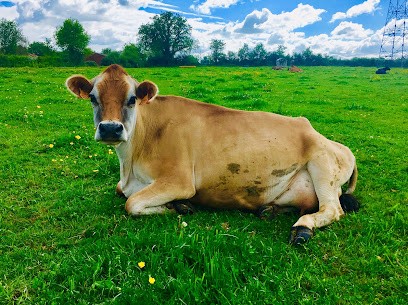 La ferme du père matt, Ferme Bio à Chemillé-en-Anjou