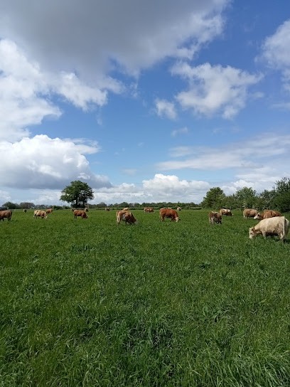 La Ferme de la Simm'biose, Ferme Bio à Ombrée d'Anjou