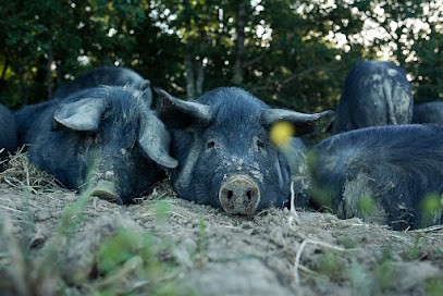 La Ferme du Truffié, Ferme Bio à Saint-Nauphary