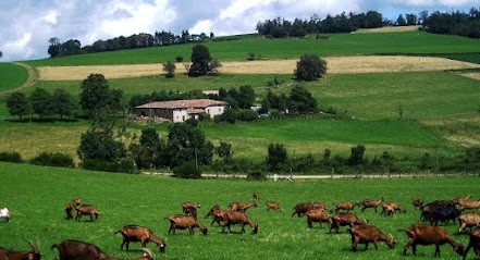 Ferme Des Servannieres, Ferme Bio à Sainte-Catherine