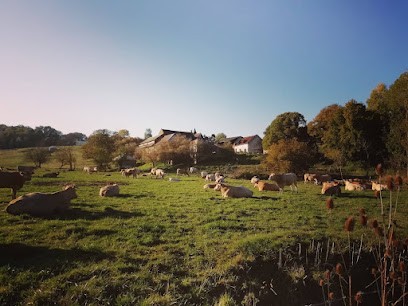 Ferme Bio - Les Reines de Prés, Ferme Bio à Méréaucourt