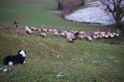 La Ferme des Cycles, Ferme Bio au Fossat