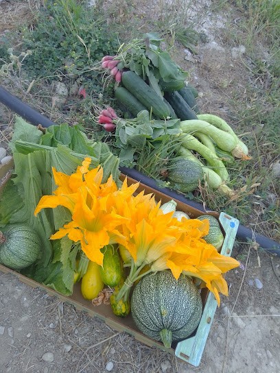 Organiks. Organic And Vegan Vegetable Farm, Ferme Bio à Nice