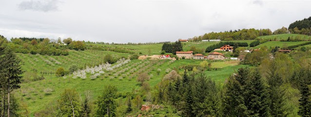 Earl Fochesato, Ferme Bio à Cublize