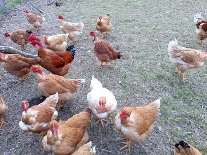 Ferme du Puy Barra, Ferme Bio à La Coquille