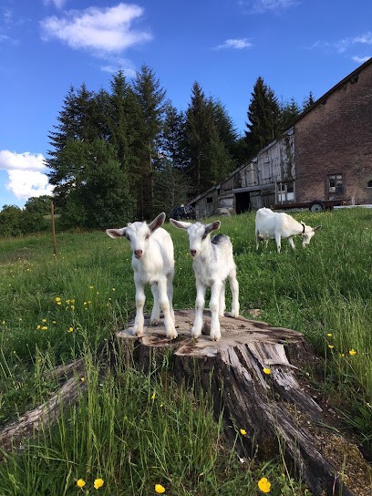 La Ferme De Deux Mains, Ferme Bio à Docelles