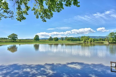 La Ferme des Charolaises, Ferme Bio à Saint-Forgeux-Lespinasse