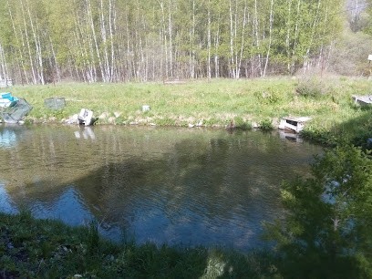 Pisciculture des Sources de Prelles, Ferme Bio à Saint-Martin-de-Queyrières