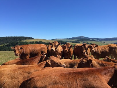 Gaec du Clapou, Ferme Bio à Saint-Germain-Laprade