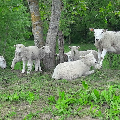 Ferme Des Bonnevals, Ferme Bio à Craonne