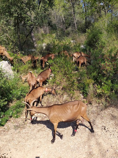 La Chèvrerie De Valbonne, Ferme Bio à Valbonne