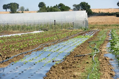 Les Jardins Du Girou, Ferme Bio à Gragnague
