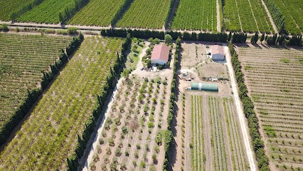 MAS DE CARGANE, Ferme Bio à Saint-Martin-de-Crau