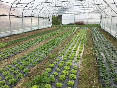 Les Jardins De Teulat, Ferme Bio à Teulat