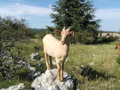 La Ferme Des Bouquets, Ferme Bio à La Caunette