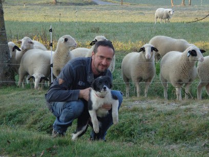 Ferme de Lagariguette - Vente de viande Bio, Ferme Bio à Montlauzun
