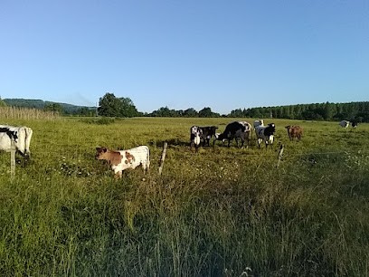 Gaec La Taniere, Ferme Bio à Montpezat