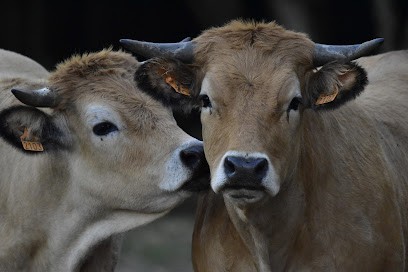 la ferme de la marsauderie, Ferme Bio à Orbigny