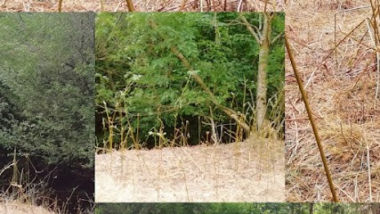 GAEC LOU PASTRE, Ferme Bio à Ardes