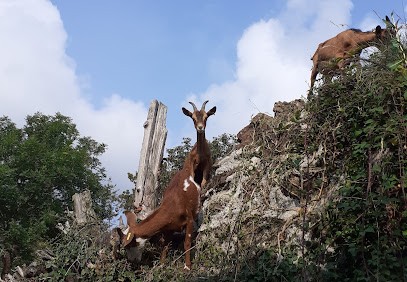 LA PETITE FERME, Ferme Bio à Saint-Agrève