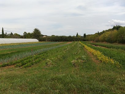 La Ferme Dagatti, Ferme Bio à Aix-en-Provence