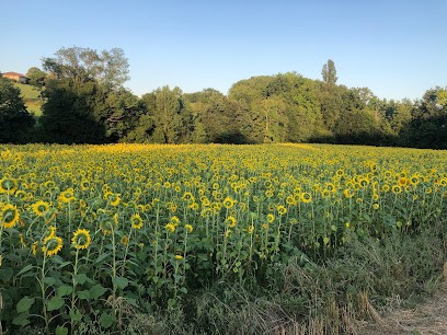 La Ferme de CASTANHAL, Ferme Bio à Casseneuil