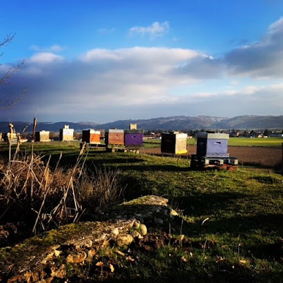 le rucher poète APICULTEUR. vente sur rdv, Ferme Bio à Arzay