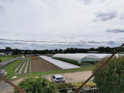 FERME DES CHAPELLES, Ferme Bio à Loire-Authion