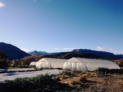 La ferme de sarriette et roquette, Ferme Bio à La Bâtie-Montsaléon
