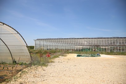 Campagne Le Petit Plan d'Auron, Ferme Bio à La Verdière