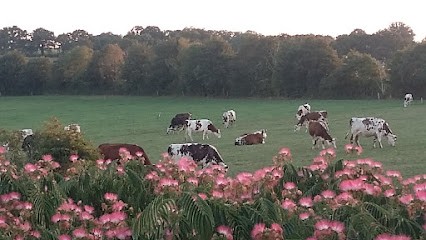 La ferme des Hirondelles Bio, Ferme Bio à Martigné-Ferchaud