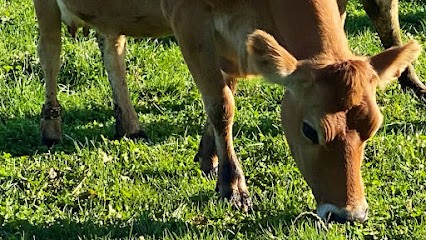 EARL de la clémendière, Ferme Bio à Tessy-Bocage
