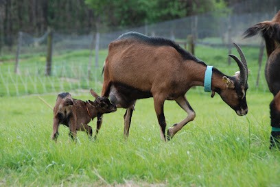 La ferme des Capri'cieuses, Ferme Bio à Grane